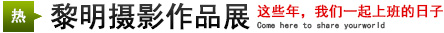 攝影展：這些年，我們一起上班的日子